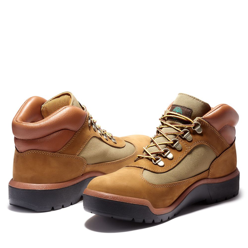 Tênis Masculino - Timberland Impermeavel Field Boots - TYEAP7254 - Marrom